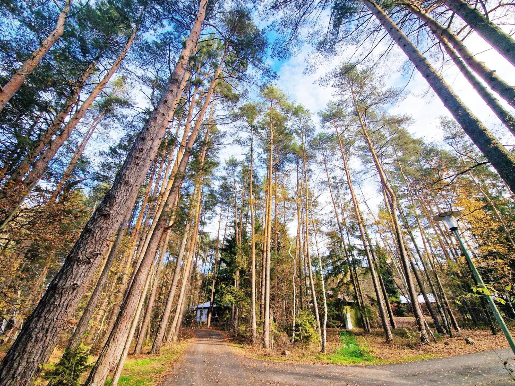 Bungalow Direkt Am See, Mit Eigenem Boot Roding Buitenkant foto